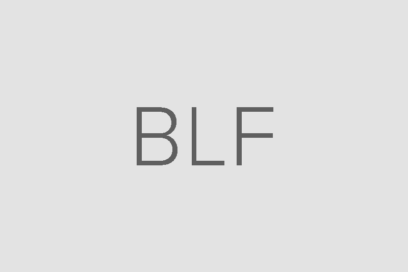 BRYAN LONG FLOWERS LLC